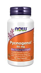 NOW® Foods NOW Pycnogenol a Acerolou a Rutínom, 60 mg, 50 rastlinných kapsúl
